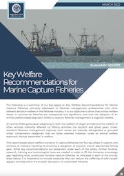 Introducing an animal welfare-based approach for commercial fishing to achieve true sustainable fisheries