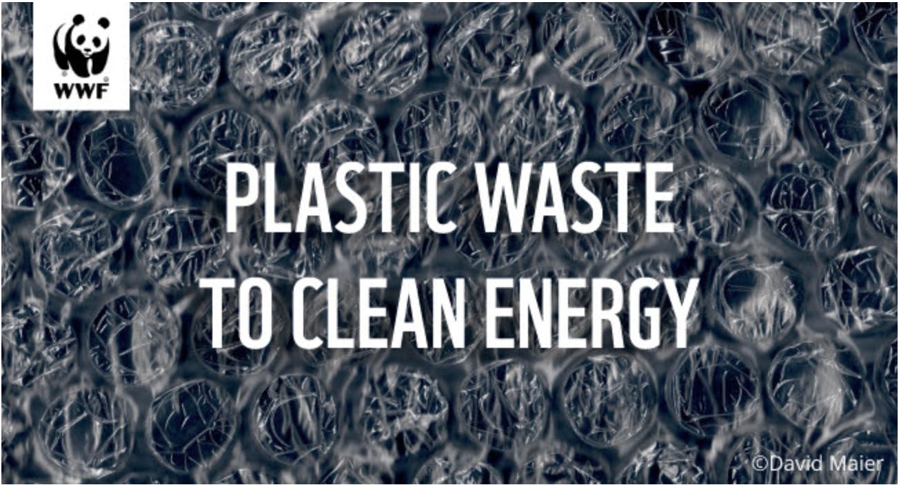 Header image from a mailer from WWF-Singapore