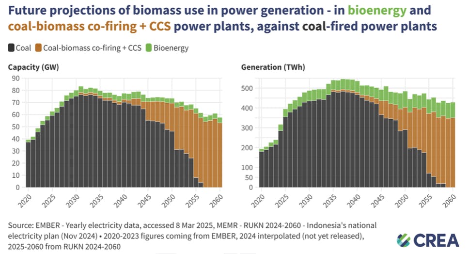 CREA biomass co-firing graphic 2